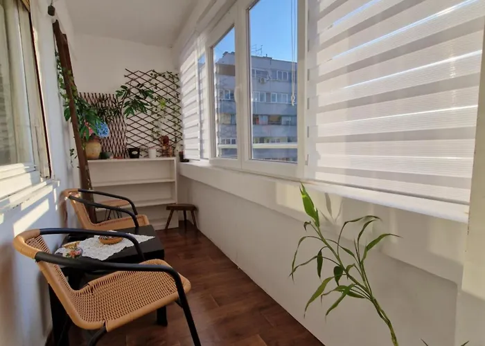 Sunny Comfort Residence